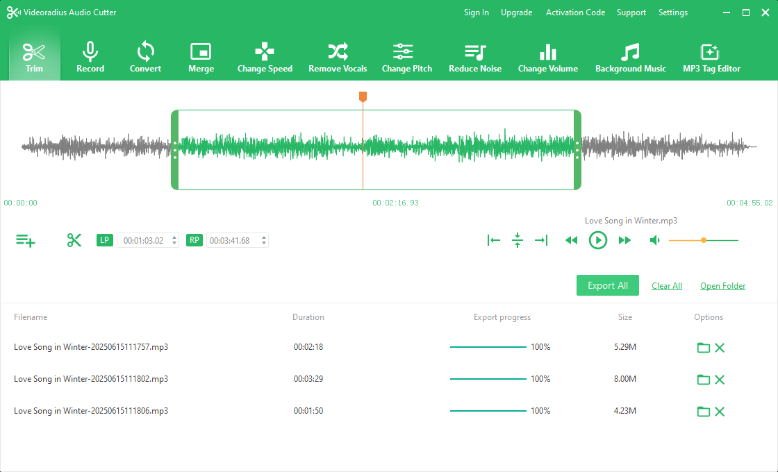 Videoradius Audio Cutter interface showing waveform editor, format conversion panel, and audio effects controls on Windows